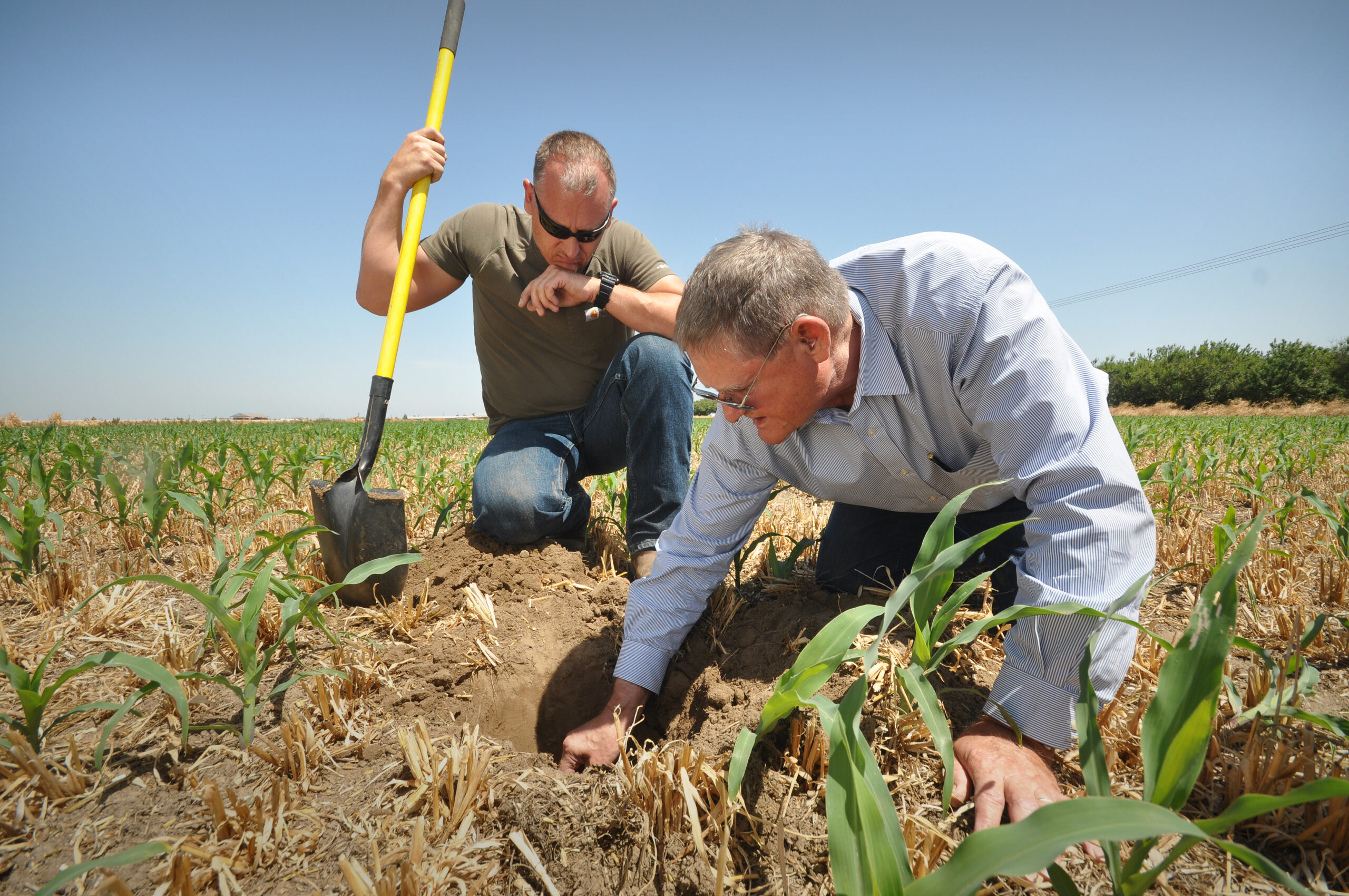 soilfax agronomist 