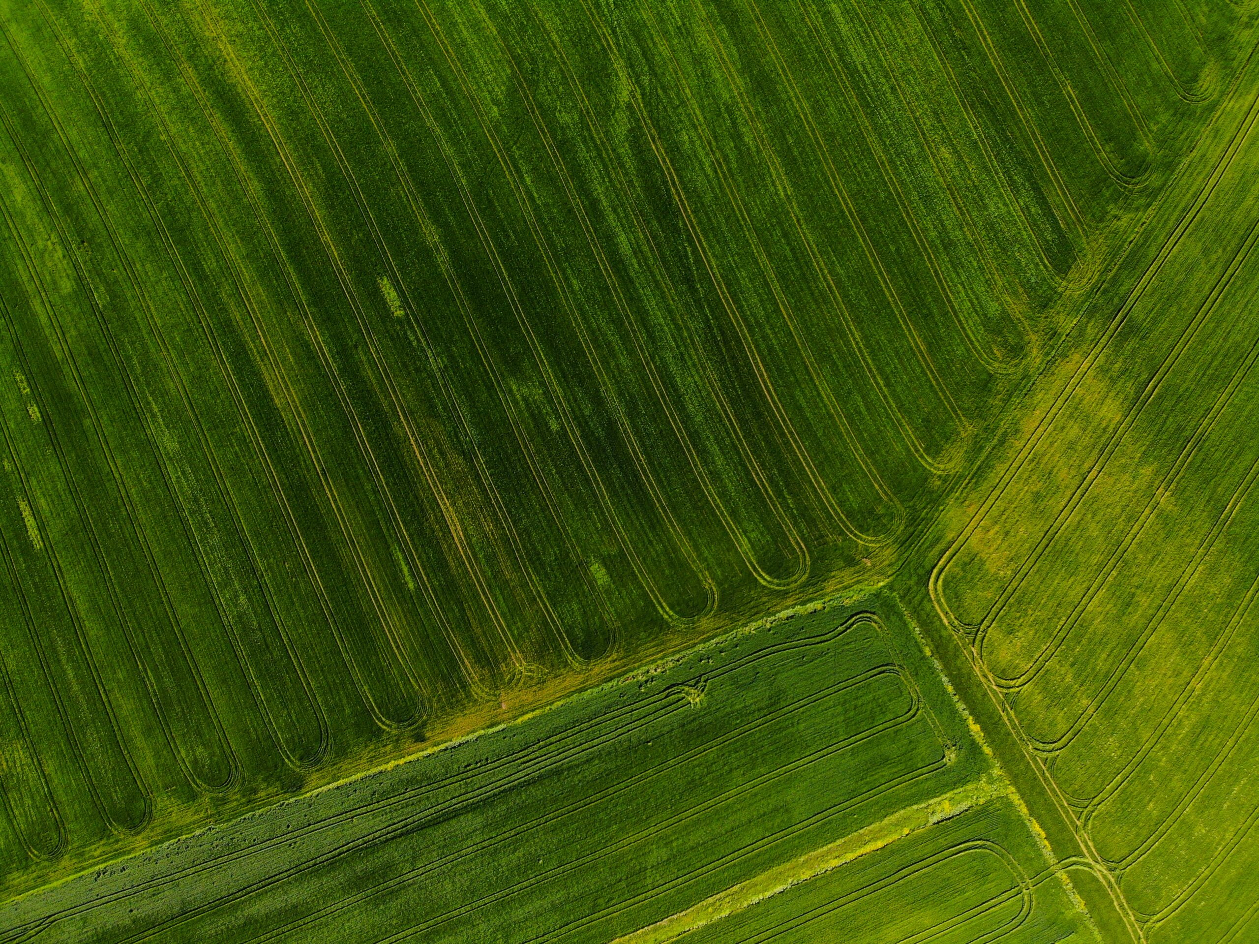 farmer